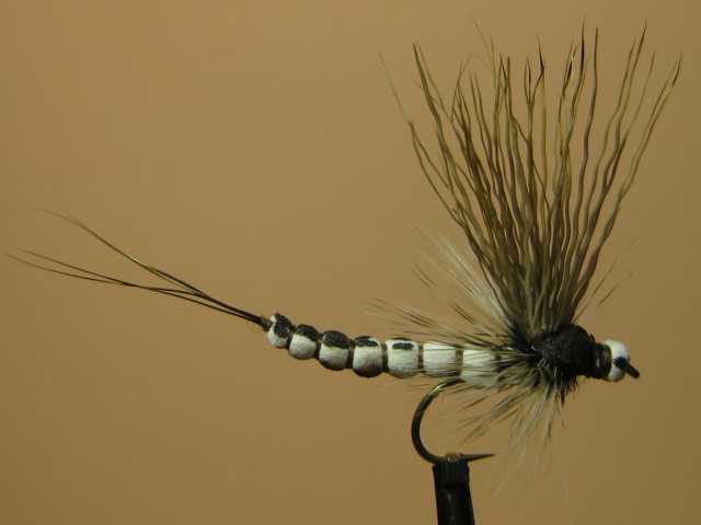 Bild in voller Grösse öffnen --> klick! Bild in voller Grösse öffnen --> klick!