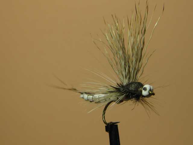 Bild in voller Grösse öffnen --> klick! Bild in voller Grösse öffnen --> klick!