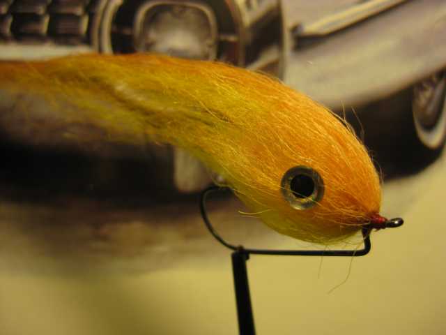 Bild in voller Grösse öffnen --> klick! Bild in voller Grösse öffnen --> klick!