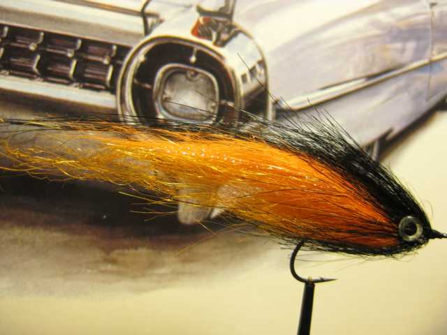 Bild in voller Grösse öffnen --> klick! Bild in voller Grösse öffnen --> klick!