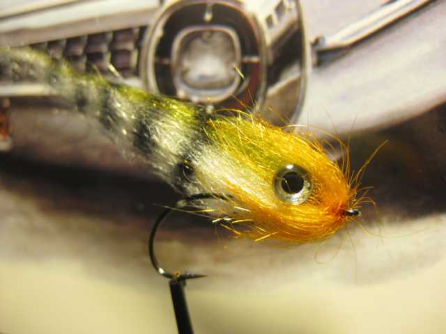 Bild in voller Grsse ffnen --> klick!