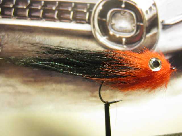 Bild in voller Grösse öffnen --> klick! Bild in voller Grösse öffnen --> klick!