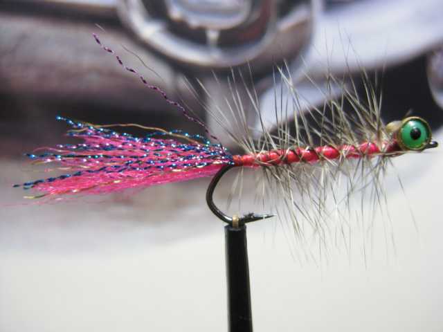 Bild in voller Grsse ffnen --> klick!