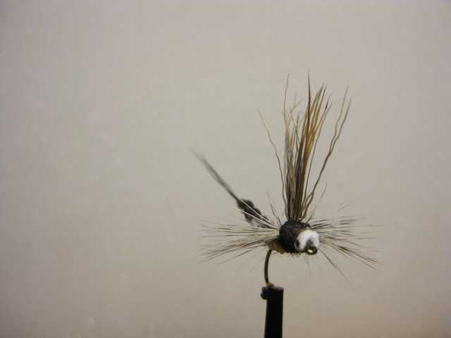 Bild in voller Grsse ffnen --> klick!