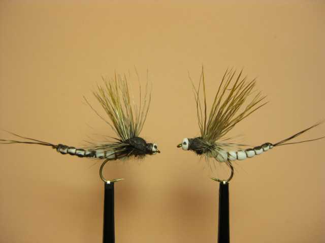 Bild in voller Grösse öffnen --> klick! Bild in voller Grösse öffnen --> klick!