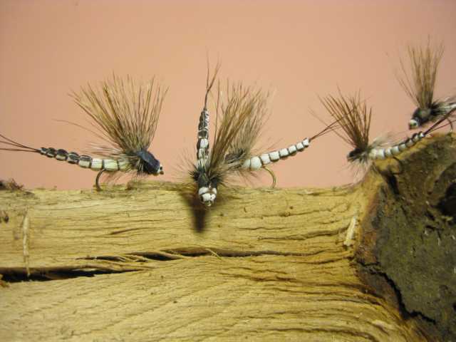 Bild in voller Grsse ffnen --> klick!