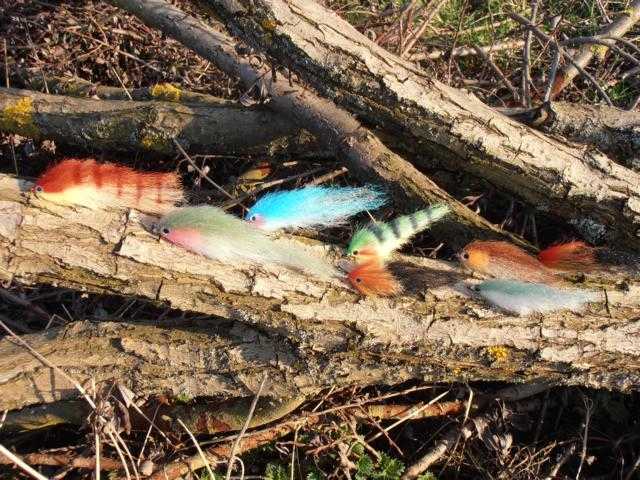 Bild in voller Grsse ffnen --> klick!