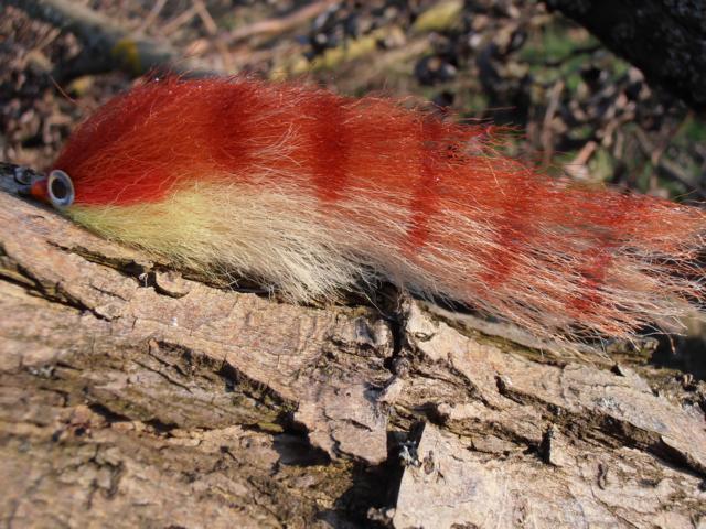 Bild in voller Grsse ffnen --> klick!