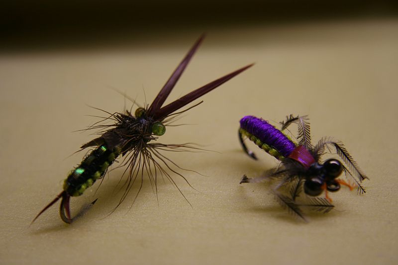 Bild in voller Grsse ffnen --> klick!