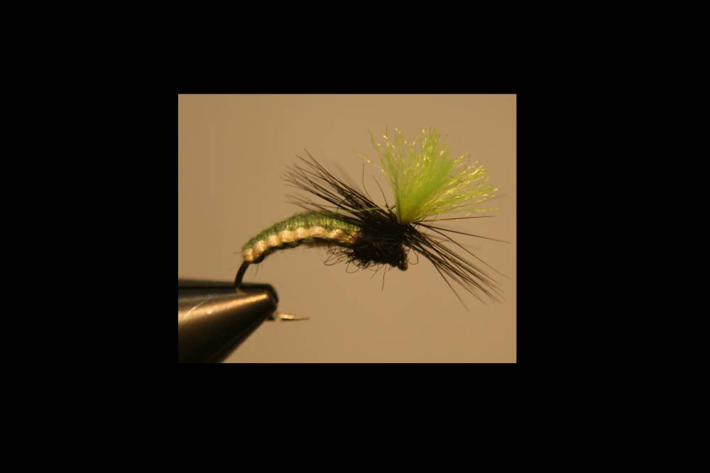 Bild in voller Grösse öffnen --> klick! Bild in voller Grösse öffnen --> klick!