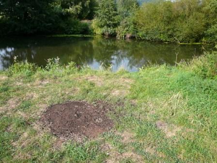 Bild in voller Grsse ffnen --> klick!