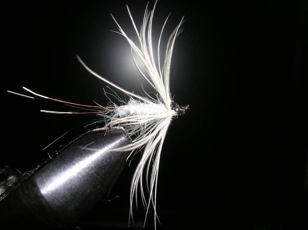 Bild in voller Grsse ffnen --> klick!