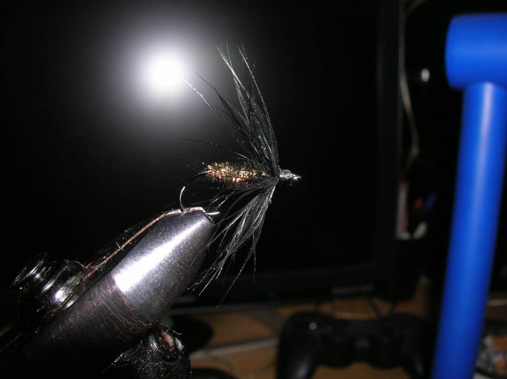 Bild in voller Grsse ffnen --> klick!