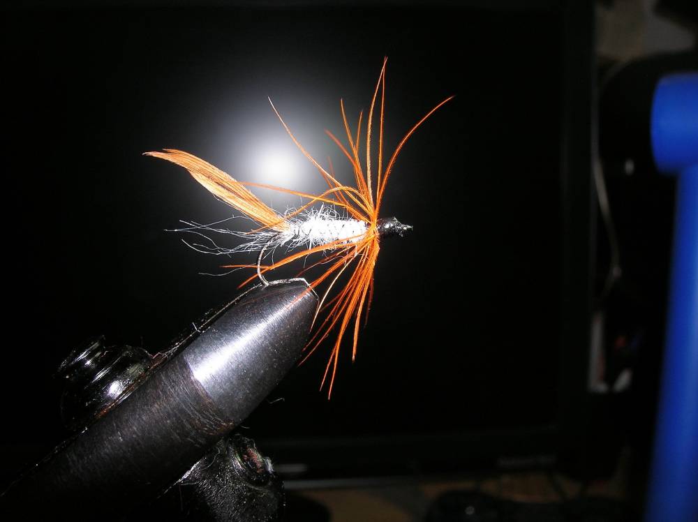 Bild in voller Grsse ffnen --> klick!