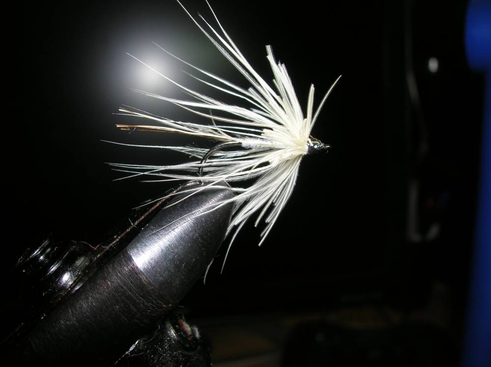 Bild in voller Grsse ffnen --> klick!