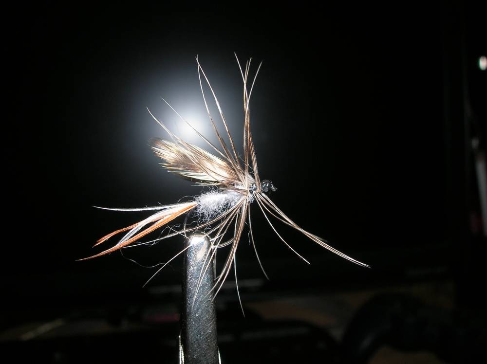 Bild in voller Grsse ffnen --> klick!