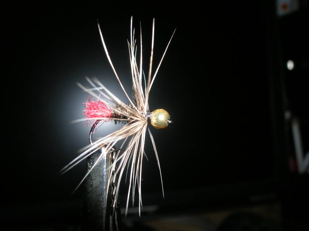 Bild in voller Grsse ffnen --> klick!