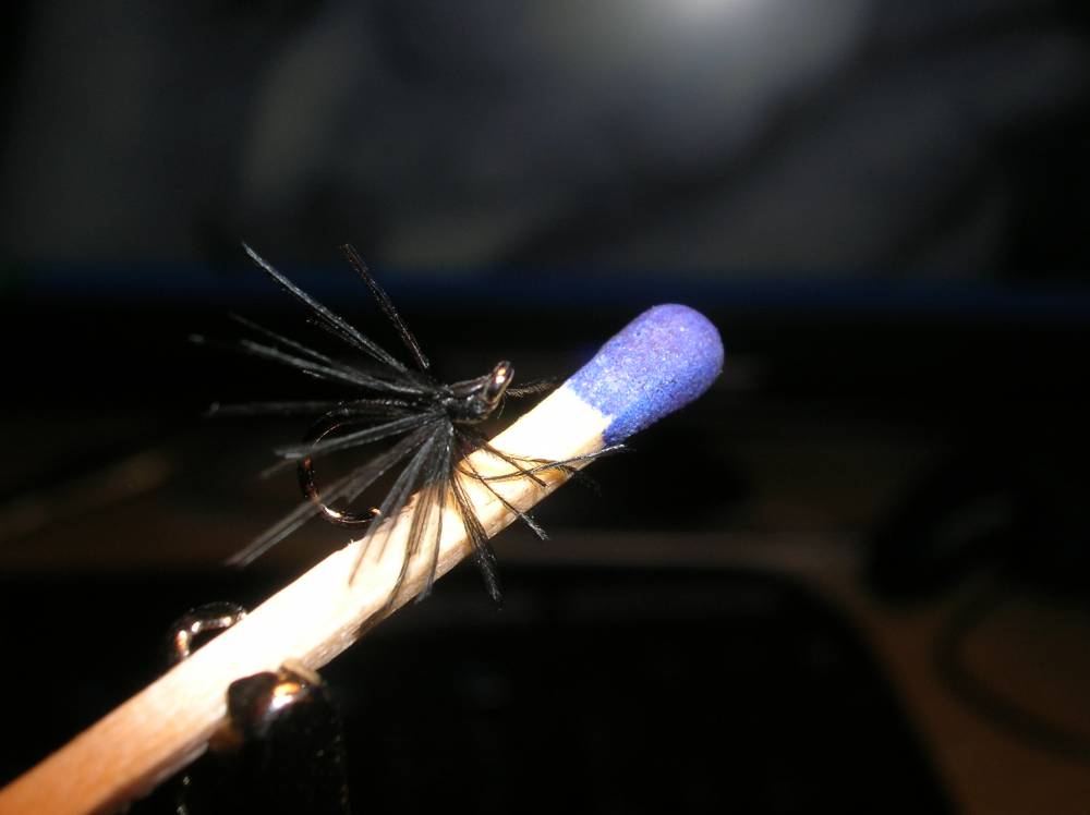 Bild in voller Grösse öffnen --> klick! Bild in voller Grösse öffnen --> klick!