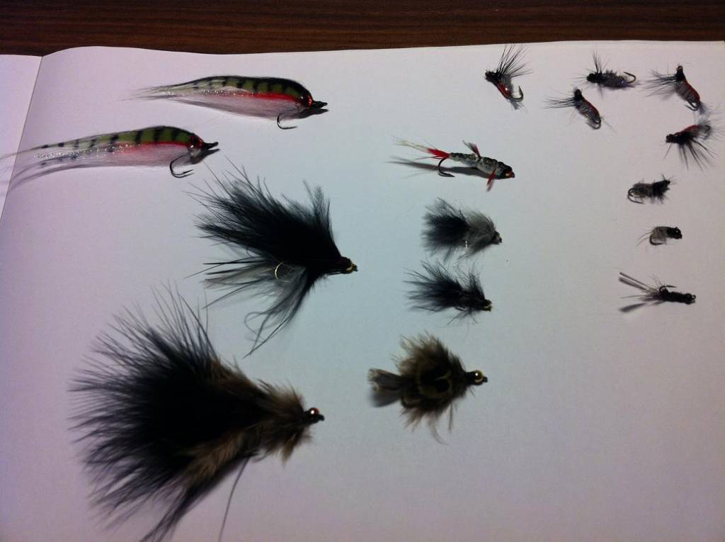 Bild in voller Grsse ffnen --> klick!