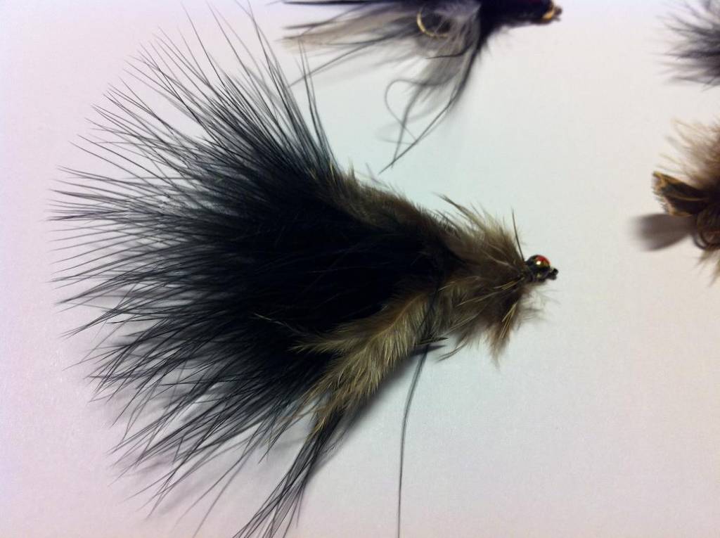 Bild in voller Grsse ffnen --> klick!