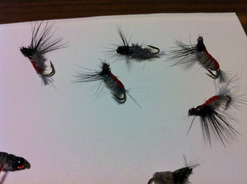 Bild in voller Grsse ffnen --> klick!