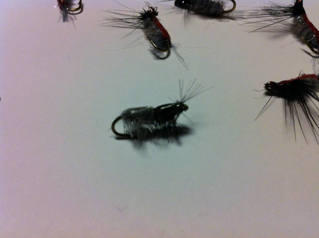 Bild in voller Grsse ffnen --> klick!