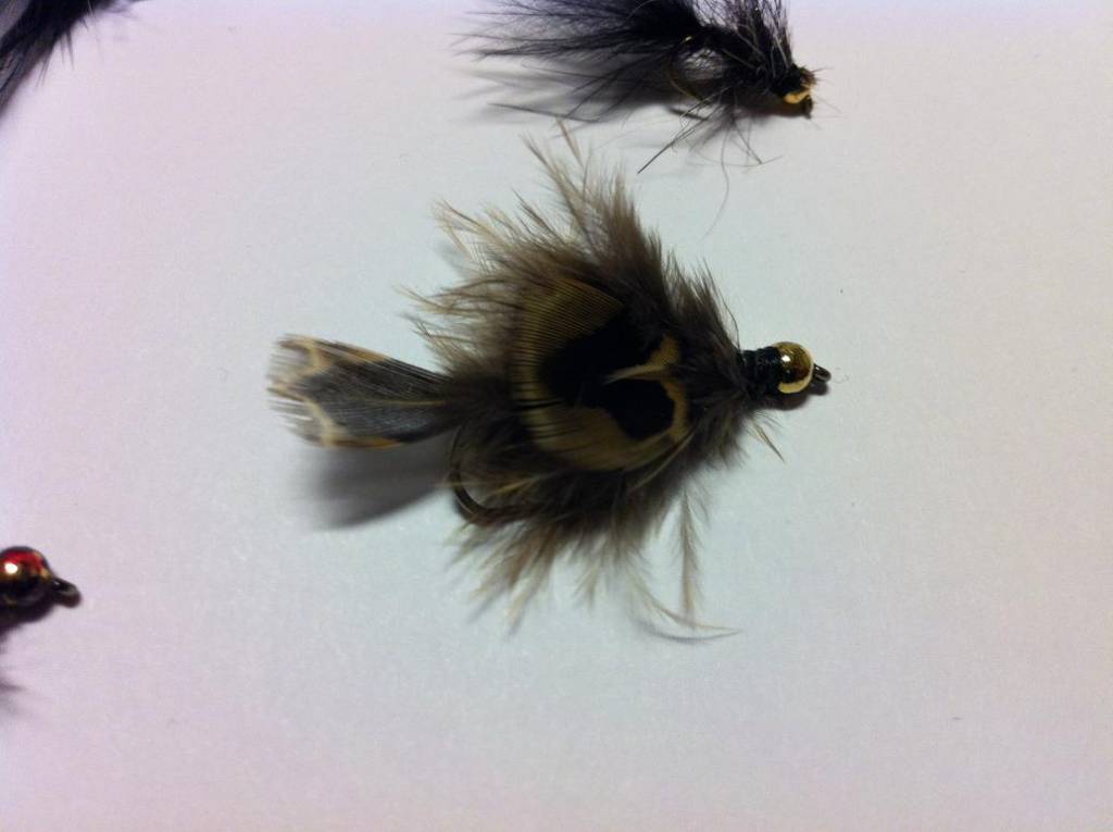 Bild in voller Grsse ffnen --> klick!