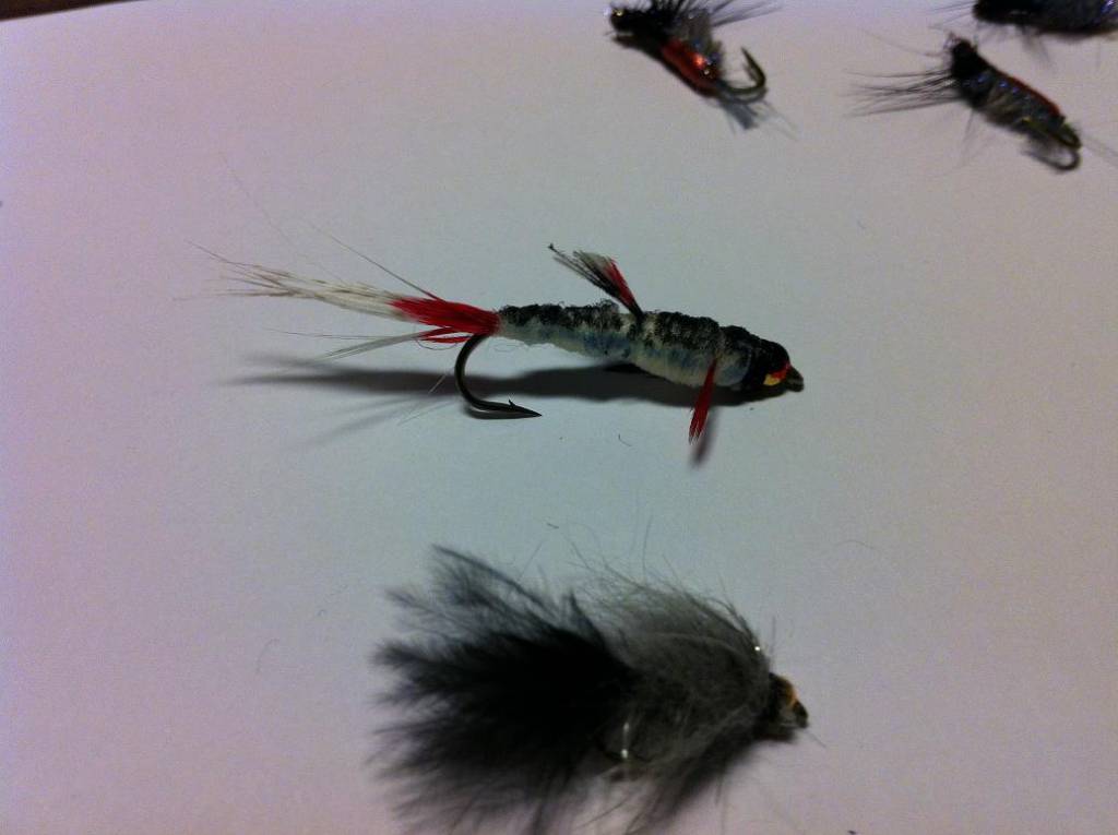 Bild in voller Grsse ffnen --> klick!