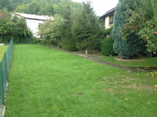 Bild in voller Grsse ffnen --> klick!