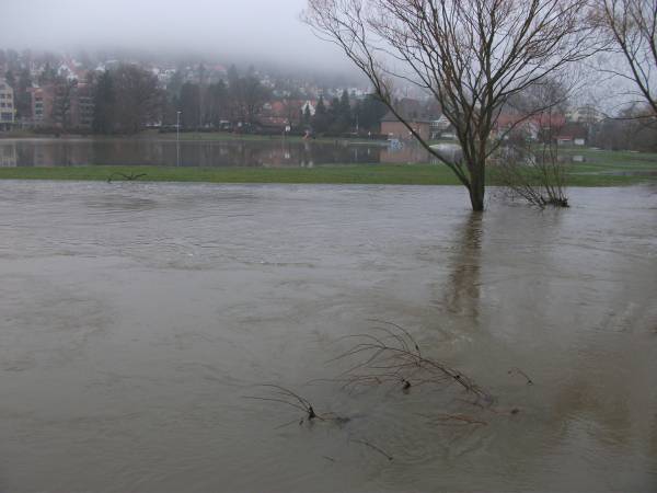 Bild in voller Grsse ffnen --> klick!