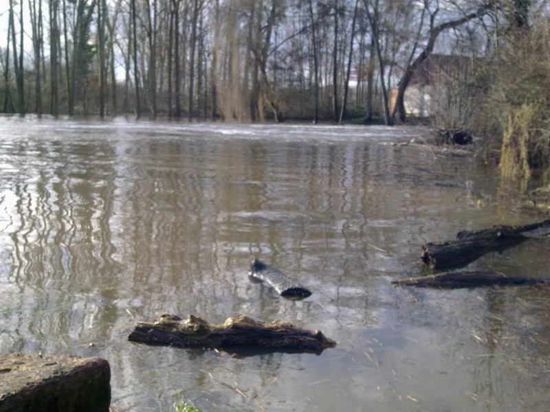 Bild in voller Grsse ffnen --> klick!