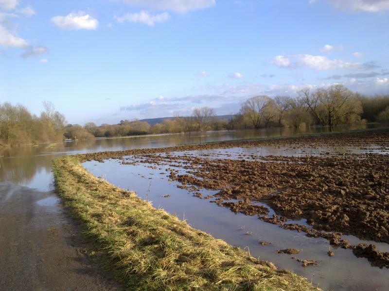 Bild in voller Grsse ffnen --> klick!