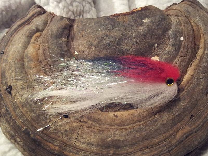 Bild in voller Grsse ffnen --> klick!