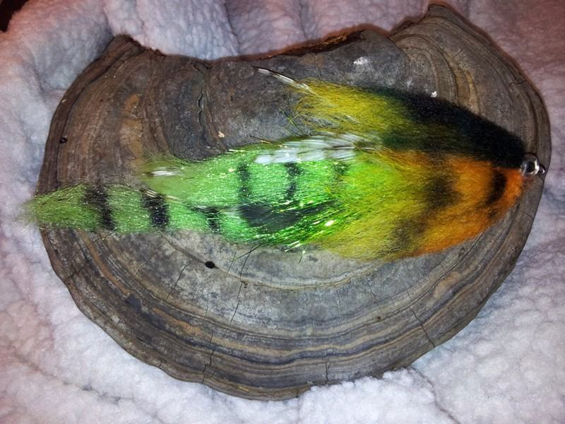 Bild in voller Grsse ffnen --> klick!