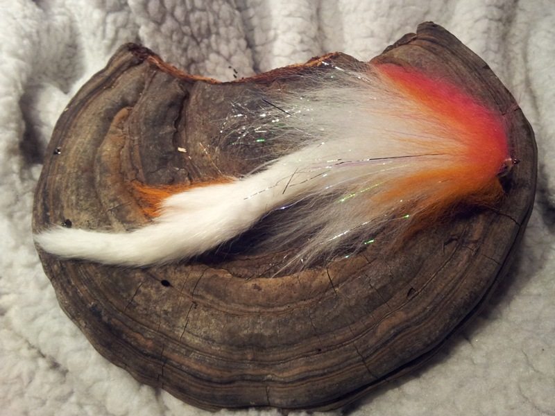 Bild in voller Grsse ffnen --> klick!