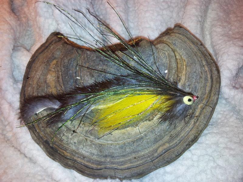 Bild in voller Grsse ffnen --> klick!