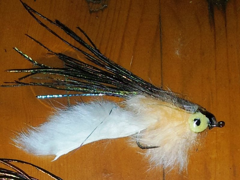 Bild in voller Grsse ffnen --> klick!