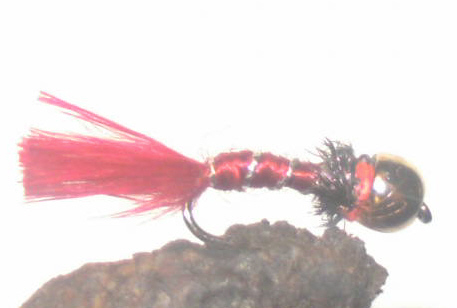 Bild in voller Grsse ffnen --> klick!