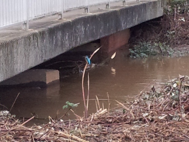 Bild in voller Grsse ffnen --> klick!