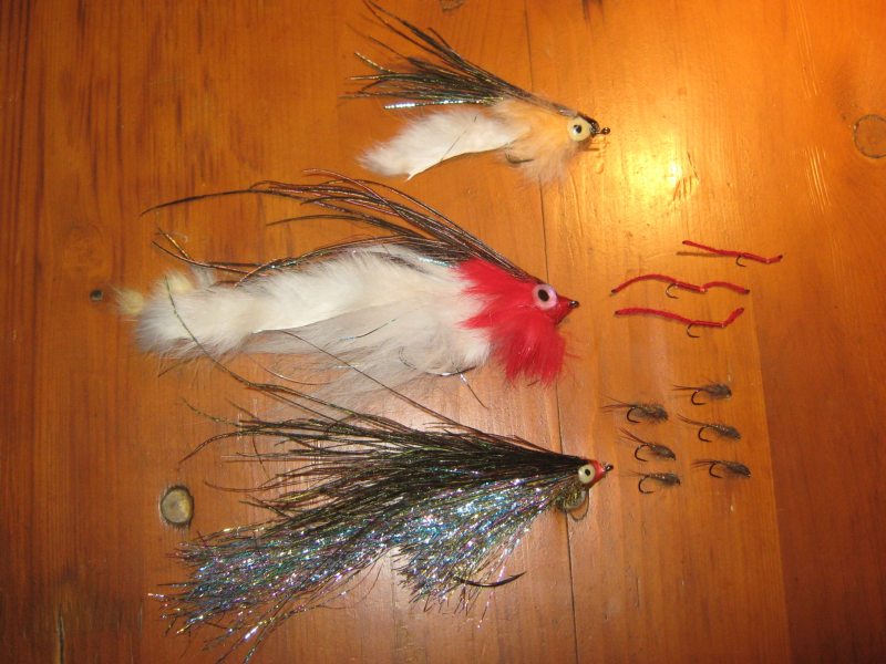 Bild in voller Grsse ffnen --> klick!