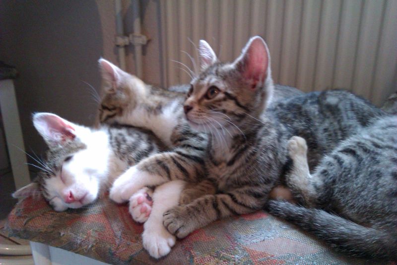 Bild in voller Grsse ffnen --> klick!