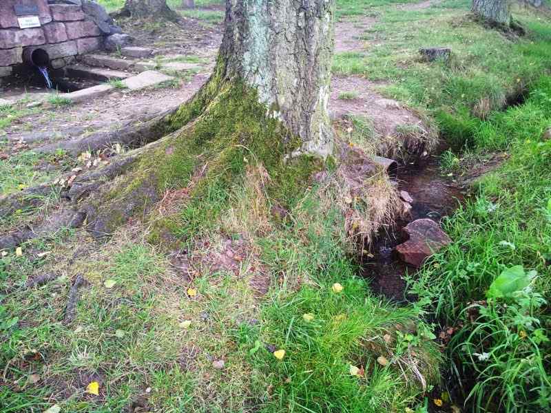 Bild in voller Grsse ffnen --> klick!