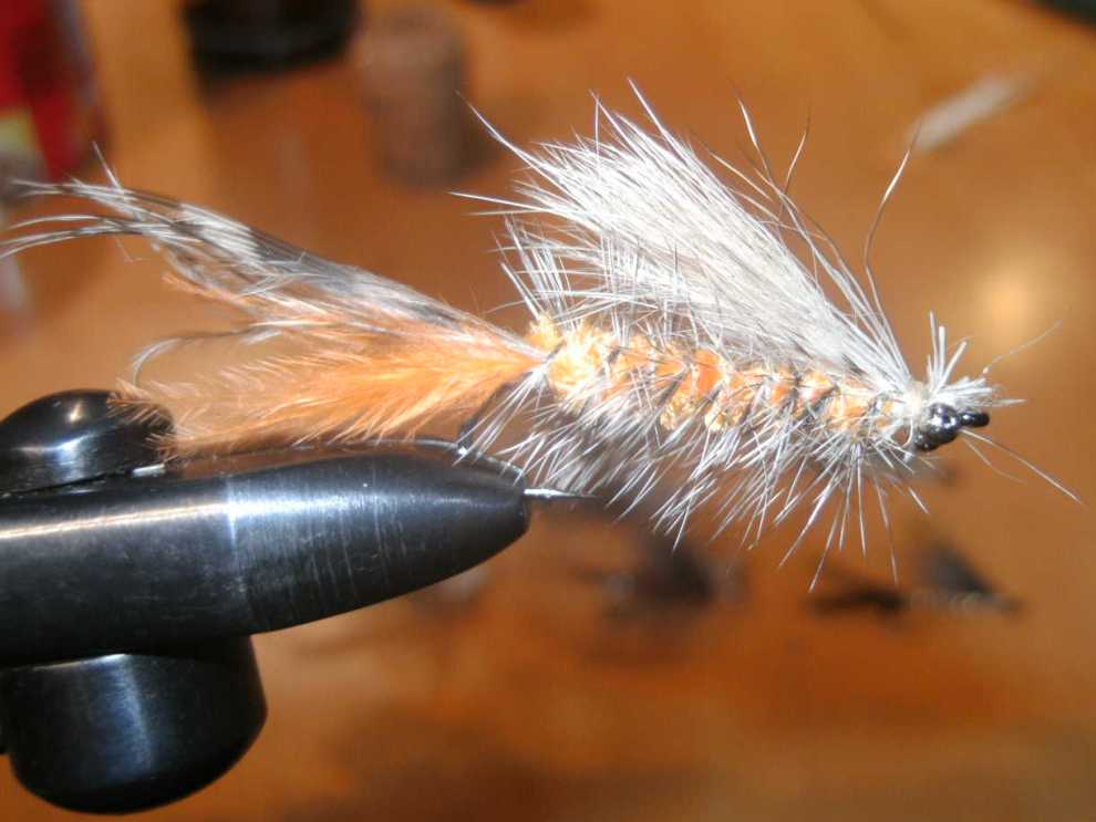 Bild in voller Grsse ffnen --> klick!