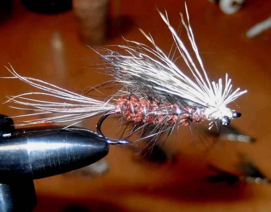 Bild in voller Grsse ffnen --> klick!