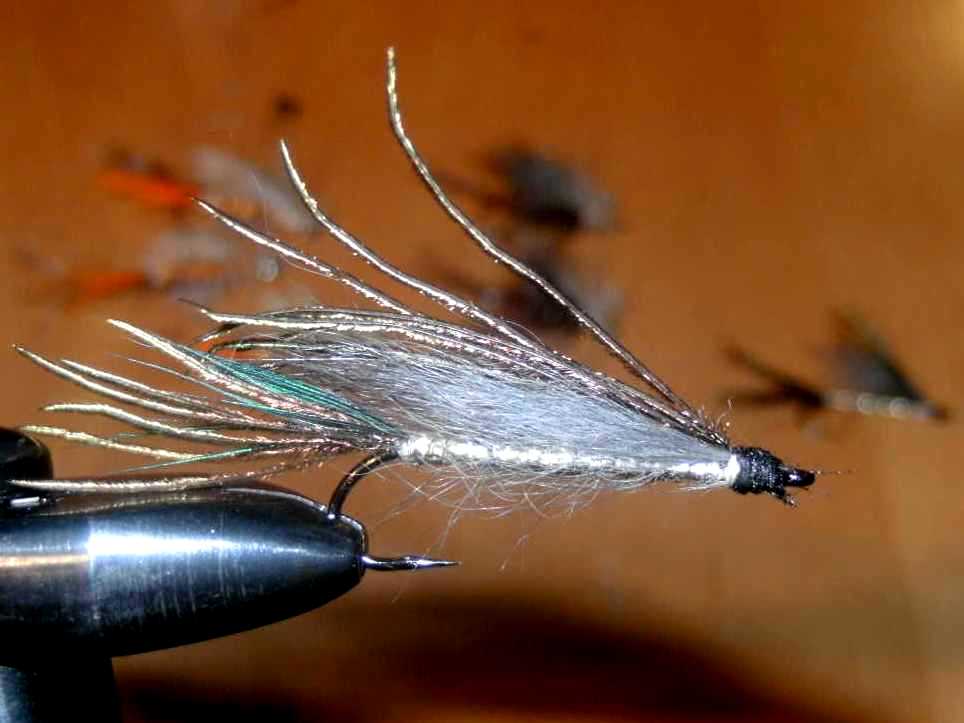 Bild in voller Grsse ffnen --> klick!