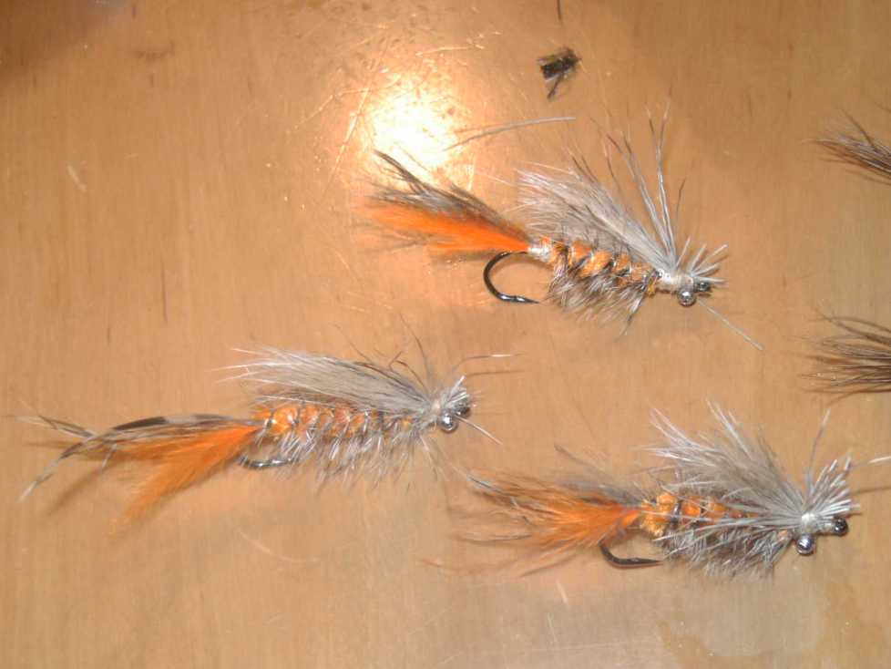 Bild in voller Grsse ffnen --> klick!