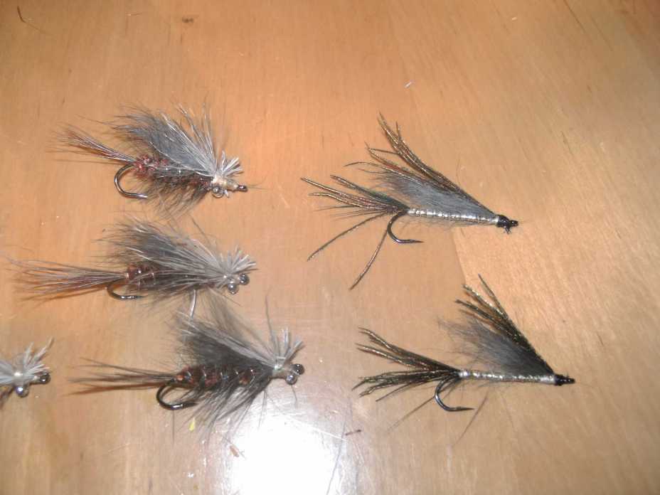 Bild in voller Grsse ffnen --> klick!