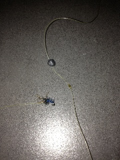 Bild in voller Grsse ffnen --> klick!