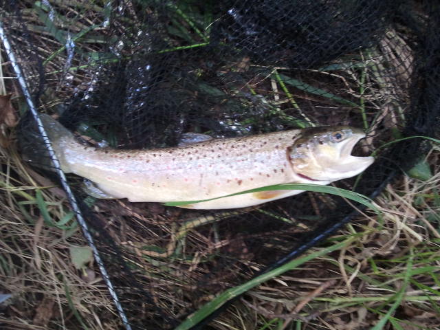 Bild in voller Grsse ffnen --> klick!