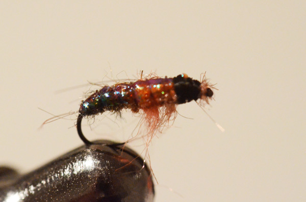 Bild in voller Grsse ffnen --> klick!